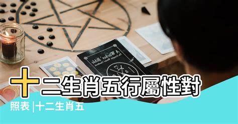 蛇屬火|十二生肖五行屬性對照表